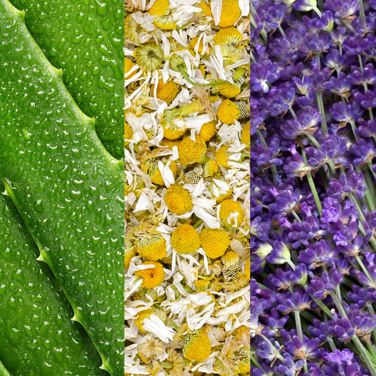 Mario badescu Facial Spray 118ml